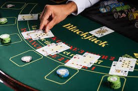 Panduan privasi dan keamanan akun mayora88